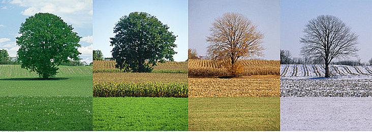 PlayStation Stars项目PS5奖励游戏几乎全部移除