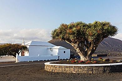 Xbox发布会：黑曜石《Grounded》正式版9月推出