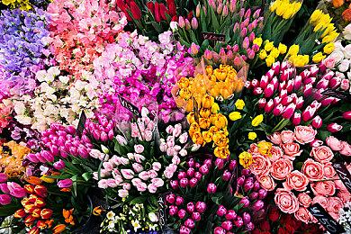 《变脸公寓》Steam页面上线 第一人称潜行恐怖游戏